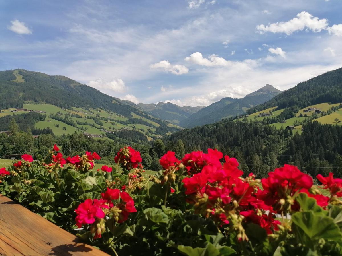 Haus Schmetterling Daire Alpbach Dış mekan fotoğraf