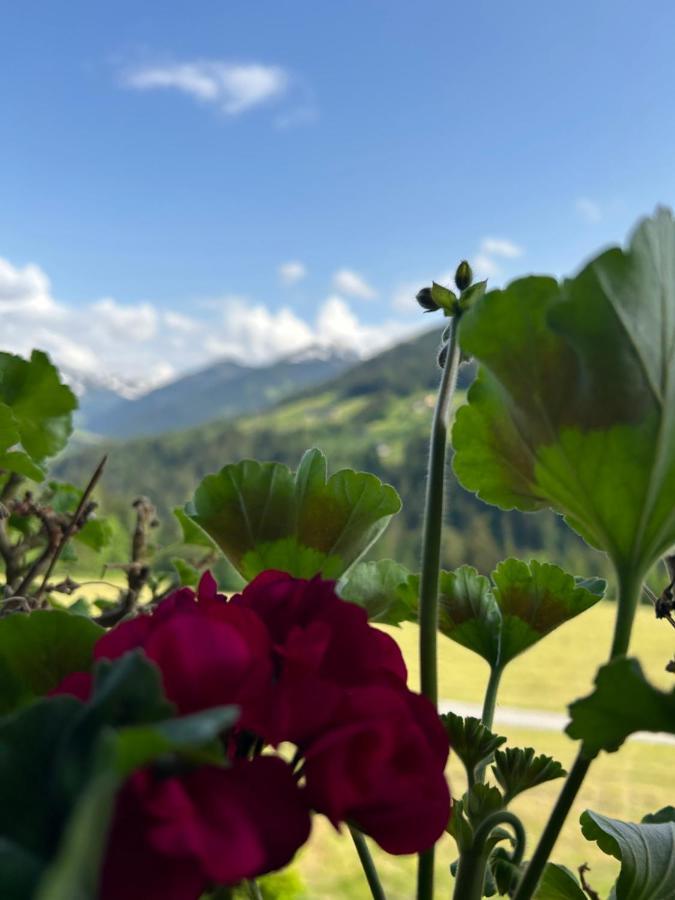 Haus Schmetterling Daire Alpbach Dış mekan fotoğraf