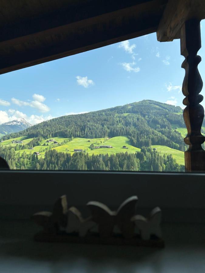 Haus Schmetterling Daire Alpbach Dış mekan fotoğraf