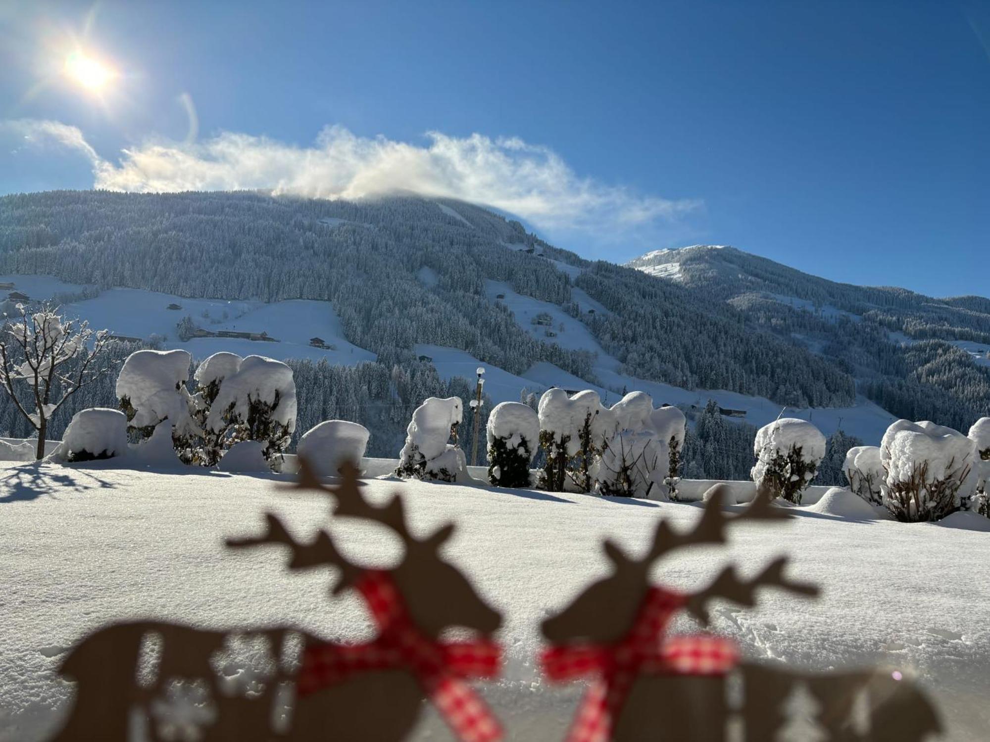 Haus Schmetterling Daire Alpbach Dış mekan fotoğraf