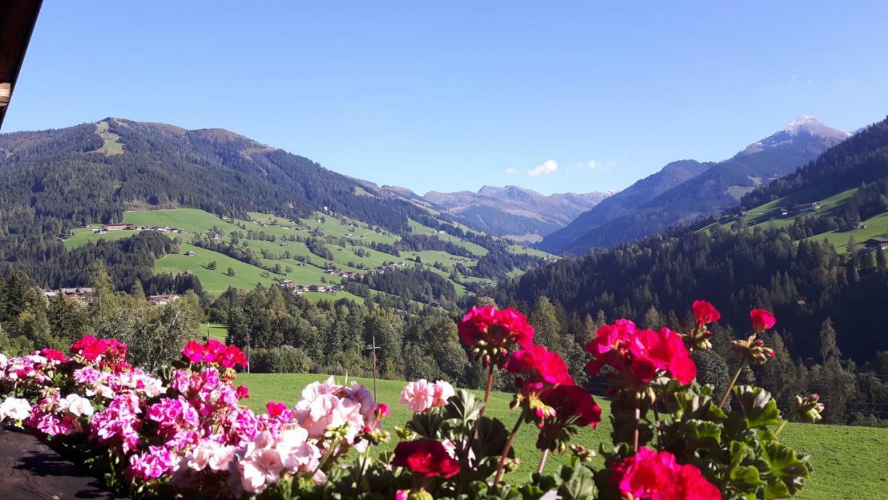 Haus Schmetterling Daire Alpbach Dış mekan fotoğraf