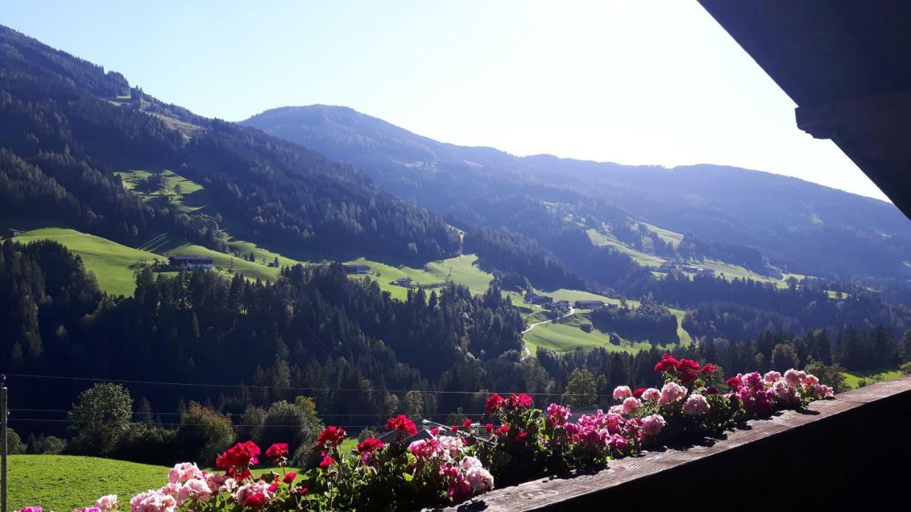 Haus Schmetterling Daire Alpbach Dış mekan fotoğraf