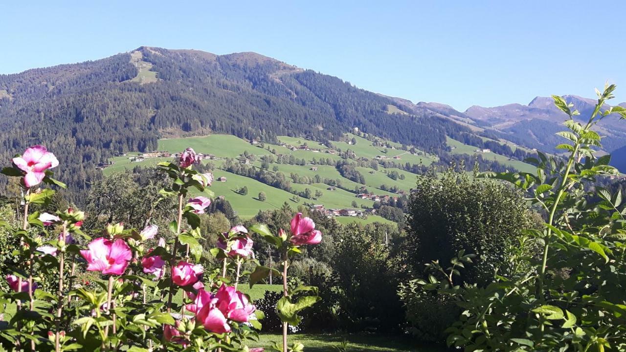 Haus Schmetterling Daire Alpbach Dış mekan fotoğraf